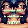 Midori Linea logo