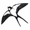 Mrs Middleton's logo