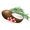 My Coconut Heart logo