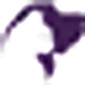 NEON LITTER logo