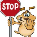 Next Stop Kids Shop logo