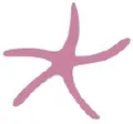 Nic del Mar logo