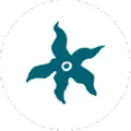 Oceanista logo
