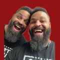 Hodgetwins logo