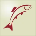 Orlando Outfitters logo