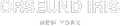 Orseund Iris logo