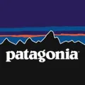 Patagonia logo