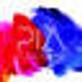 Pia Colors logo