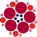 Poppy Sports logo