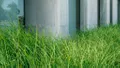 Rawbiotics logo