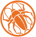 RoAcH Studios logo