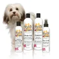 Rockin' Paws logo