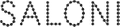 Saloni logo