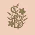 Sari Bari logo