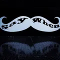 Say When Clothing Co logo