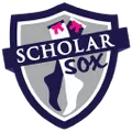 SCHOLAR SOX  Smart & Fashionable! logo
