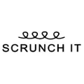 Scrunch It logo