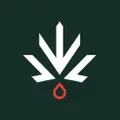 Seven Points CBD logo