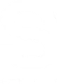 She's Waisted logo