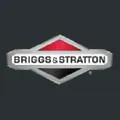 Briggs And Stratton logo
