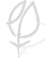 Ectopic Pregnancy Trust Shop logo
