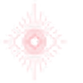 Willow Marie & Co. logo