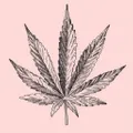 Canna Style logo