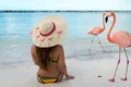 Hats by Olivia logo