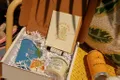 Prickly Pear Paper logo