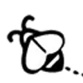 Simply Elderberry Co. logo