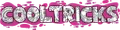 Skelly & Co logo