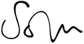 Solu Candles logo