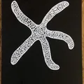Starfish Studio logo