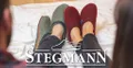 Stegmann logo