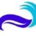 Shore Thing Collectables logo