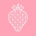 Strawberrynet logo