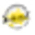 Sunburst Superfoods logo