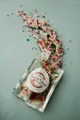 TastyGoodToffee logo