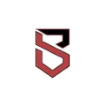 Baseball Swag logo