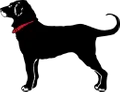 The Black Dog logo
