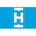 The Home T logo