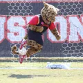 Uhv Jaguars logo