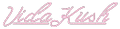 VidaKush logo