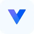 Virtuoso QA Logo