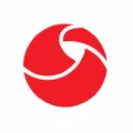 Vision Support Services Logo