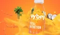 vybey Logo