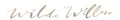 Wilde Willow logo