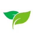 Yes Wellness logo