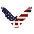 Your American Flag Store logo
