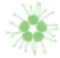 Zea Relief logo